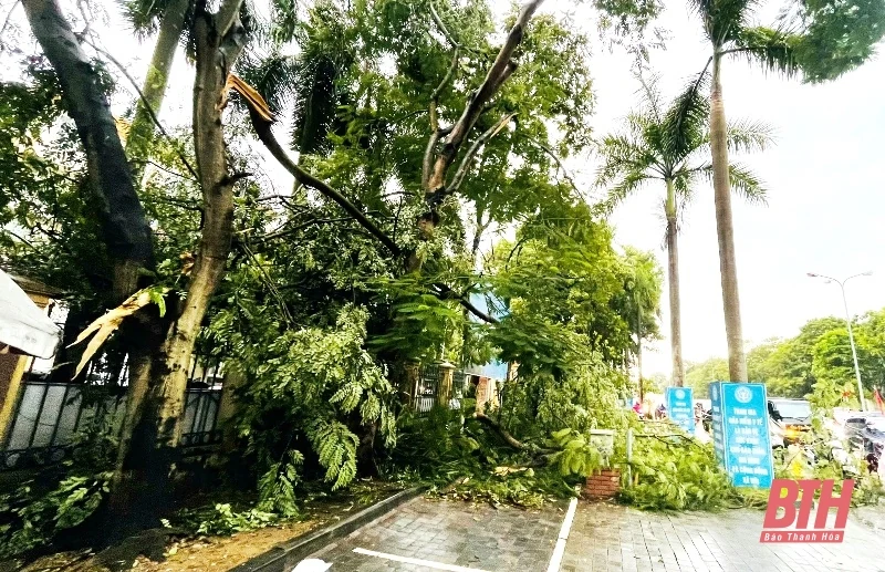Triển khai ứng phó khẩn cấp bão số 3 đối với lĩnh vực giao cá cược bóng đá m88, xây dựng