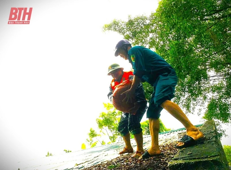 Nông Cống huy động gần 200 cán bộ, chiến sĩ, dân quân tự vệ giúp dân phòng, chống và khắc phục ảnh hưởng của cơn bão số 3