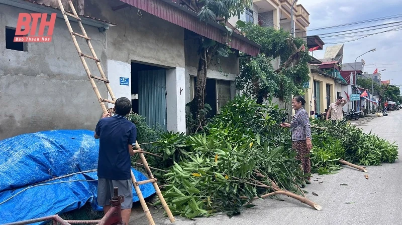 Các ngành, địa phương tập trung cao ứng phó với bão số 3
