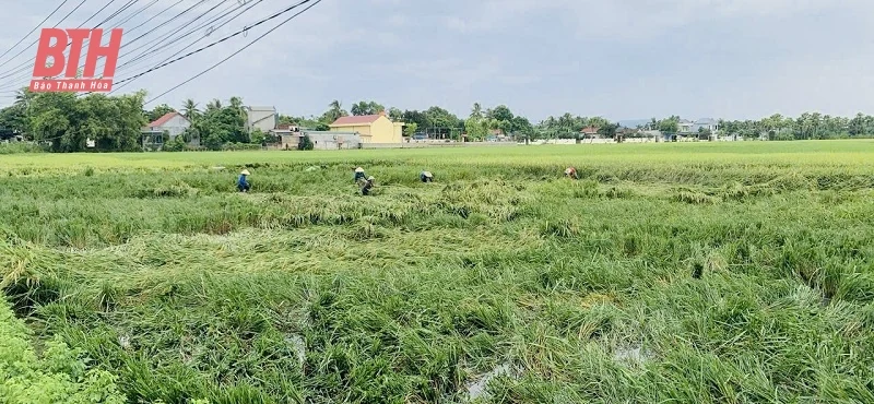 Các ngành, địa phương tập trung cao ứng phó với bão số 3
