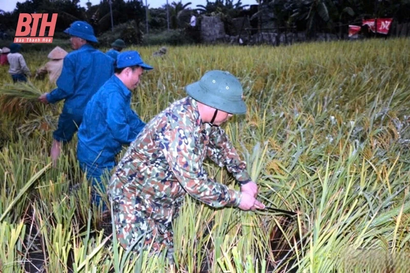 Các ngành, địa phương tập trung cao ứng phó với bão số 3