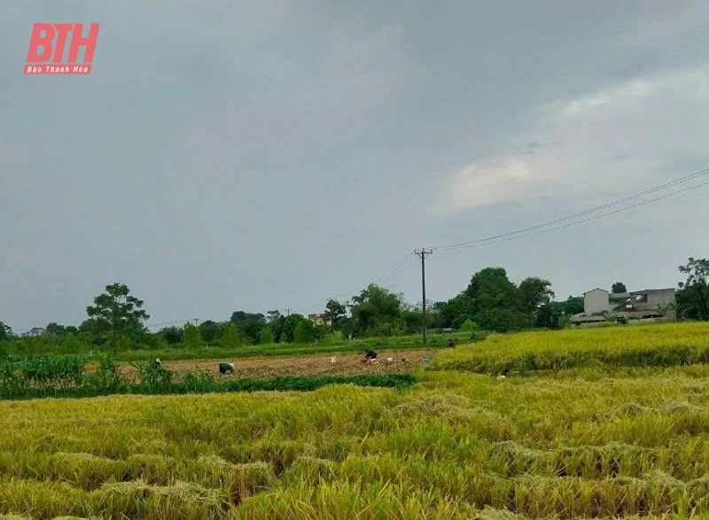Các ngành, địa phương tập trung cao ứng phó với bão số 3