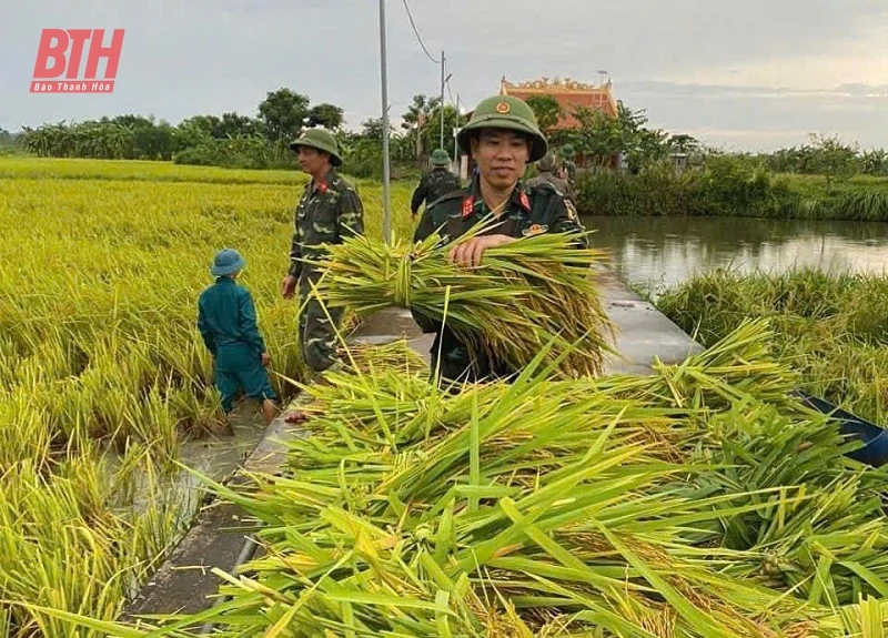 Các ngành, địa phương tập trung cao ứng phó với bão số 3