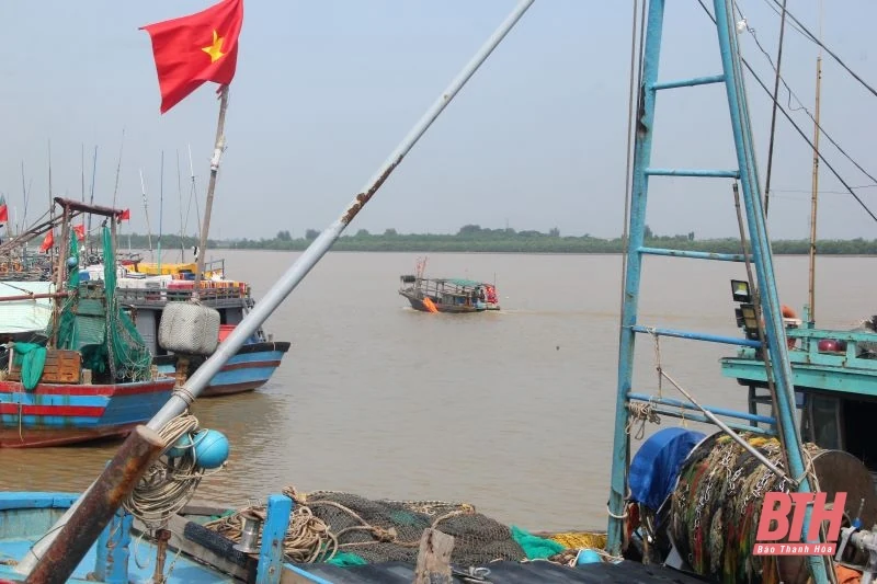 Bão Yagi đang hướng vào Vịnh Bắc bộ, vẫn còn hơn 880 tàu thuyền của ngư dân Thanh Hóa hoạt động trên biển