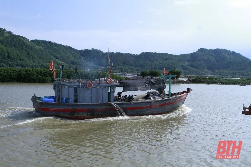 Tích cực kêu gọi tàu thuyền tránh trú bão Yagi