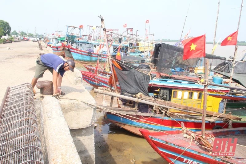 Tích cực kêu gọi tàu thuyền tránh trú bão Yagi