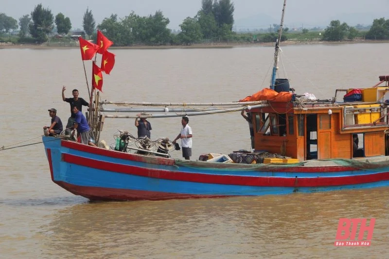 Tích cực kêu gọi tàu thuyền tránh trú bão Yagi