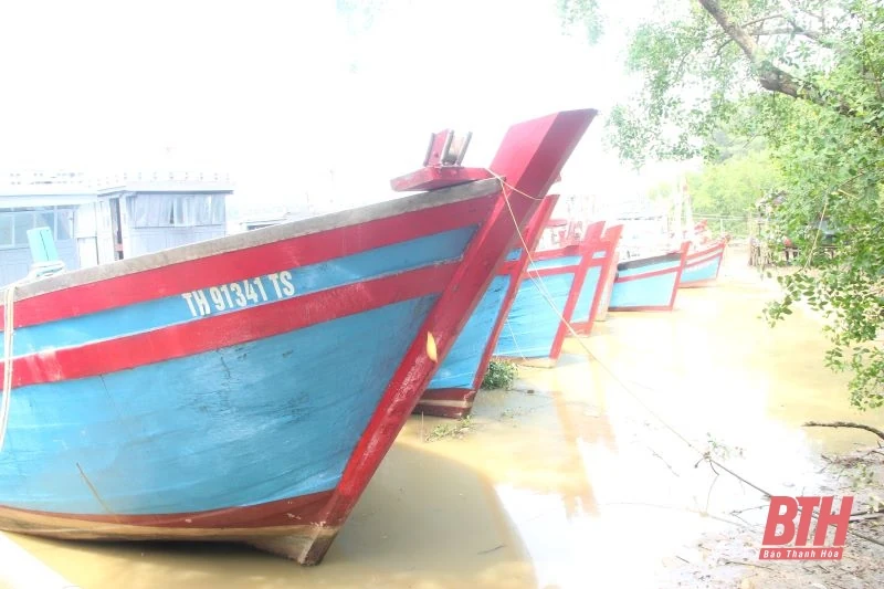 Tích cực kêu gọi tàu thuyền tránh trú bão Yagi