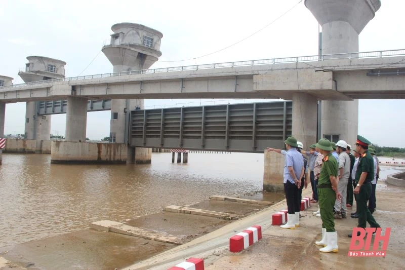 Phó Chủ tịch UBND tỉnh Mai Xuân Liêm chỉ đạo công tác ứng phó bão số 3 tại Hậu Lộc, Nga Sơn