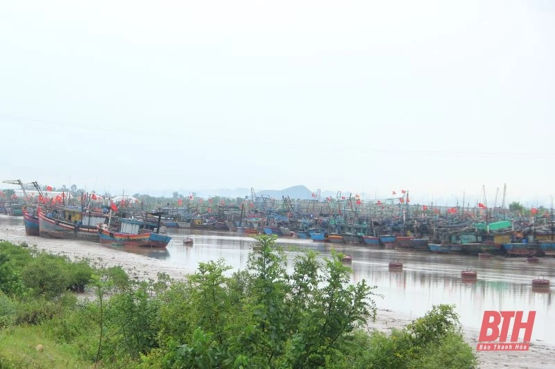 Phó Chủ tịch UBND tỉnh Mai Xuân Liêm chỉ đạo công tác ứng phó bão số 3 tại Hậu Lộc, Nga Sơn