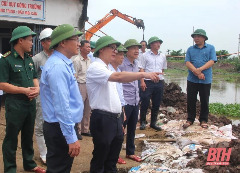 Phó Chủ tịch UBND tỉnh Mai Xuân Liêm chỉ đạo công tác ứng phó bão số 3 tại Hậu Lộc, Nga Sơn