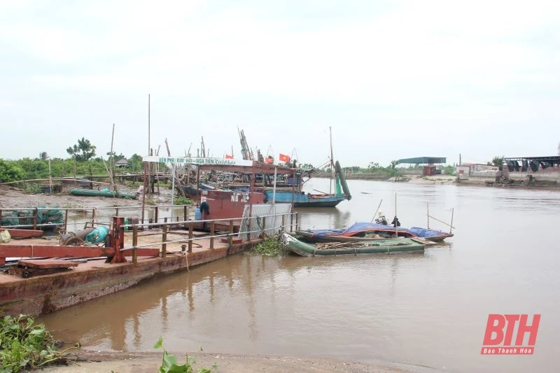 Phó Chủ tịch UBND tỉnh Mai Xuân Liêm chỉ đạo công tác ứng phó bão số 3 tại Hậu Lộc, Nga Sơn
