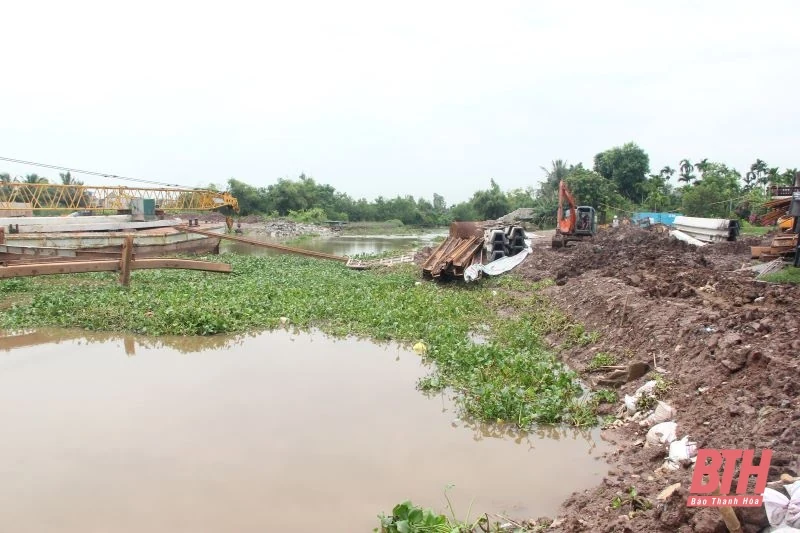 Phó Chủ tịch UBND tỉnh Mai Xuân Liêm chỉ đạo công tác ứng phó bão số 3 tại Hậu Lộc, Nga Sơn