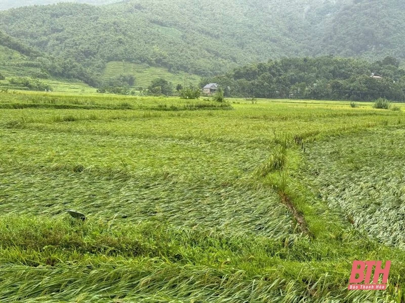 Các ngành, địa phương tập trung cao ứng phó với bão số 3