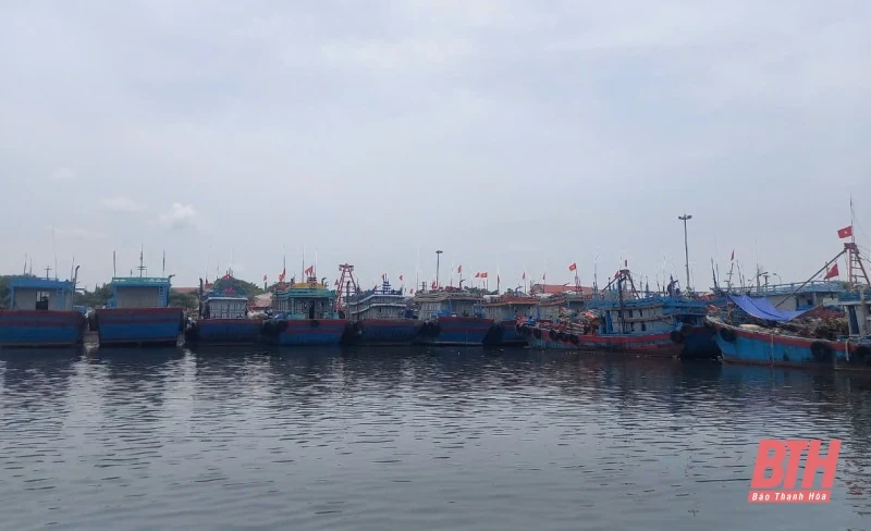 Các lực lượng tích cực hỗ trợ ngư dân đưa tàu thuyền về nơi tránh trú bão an toàn