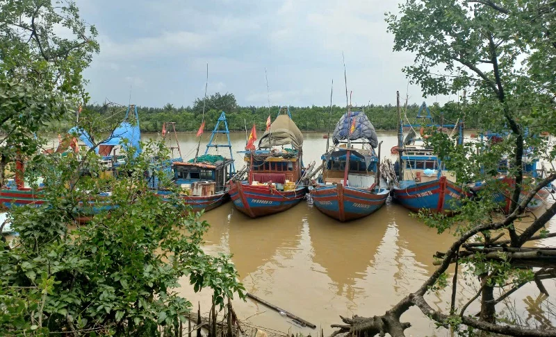 Các lực lượng tích cực hỗ trợ ngư dân đưa tàu thuyền về nơi tránh trú bão an toàn