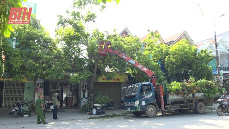 Các ngành, địa phương tập trung cao ứng phó với bão số 3
