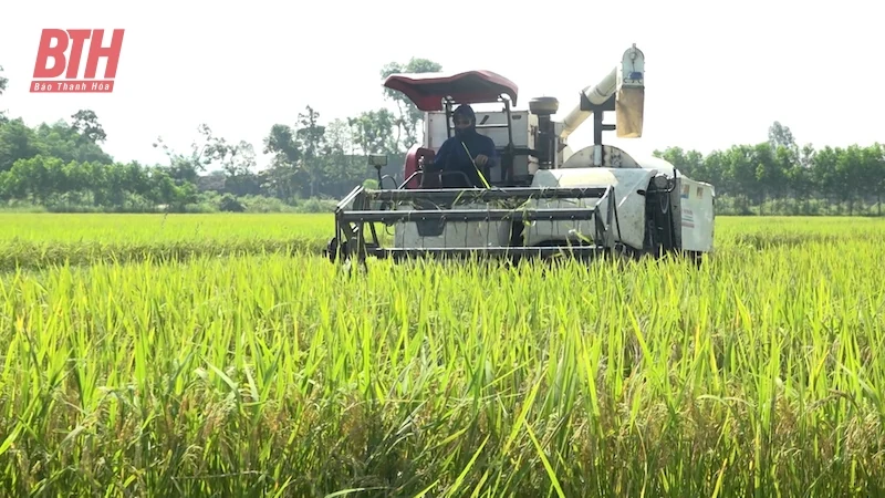 Các ngành, địa phương tập trung cao ứng phó với bão số 3