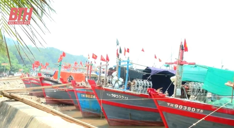 Huyện Hoằng Hóa chủ động ứng phó bão Yagi 