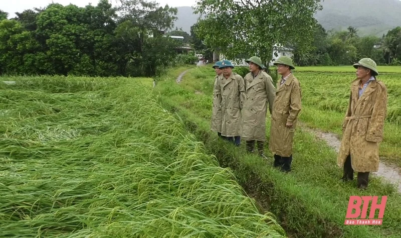 Các ngành, địa phương tập trung cao ứng phó với bão số 3