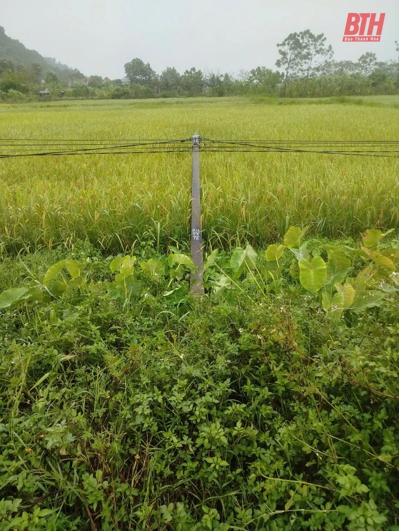 Khắc phục nhanh nhất sự cố về điện trên địa bàn link đăng nhập m88 do bão số 3 gây ra