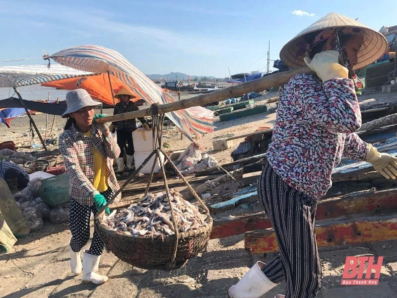 Ngư dân làng biển nhộn nhịp trong ngày Quốc khánh