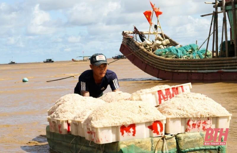 Ngư dân làng biển nhộn nhịp trong ngày Quốc khánh