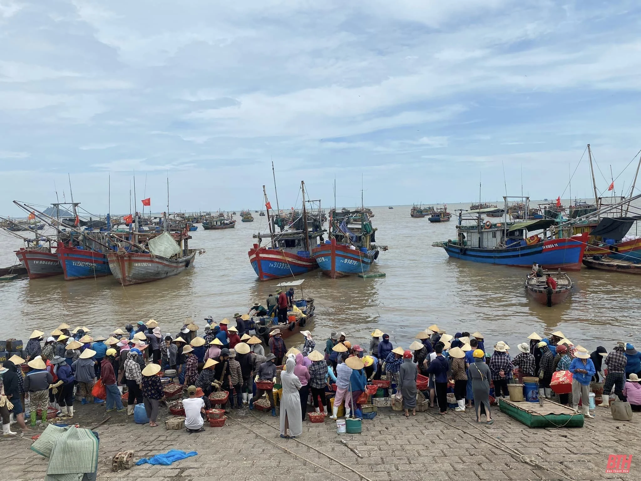 Ngư dân làng biển nhộn nhịp trong ngày Quốc khánh