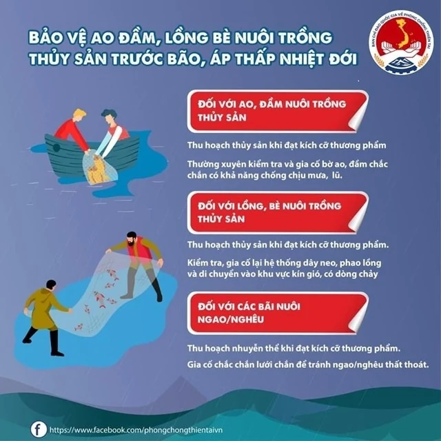 Những việc người dân cần làm trước, trong và sau bão