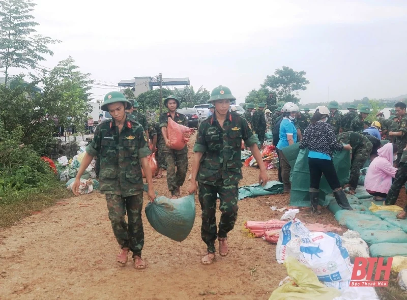 Tập trung khắc phục sự cố thấm dột đê sông Hoạt
