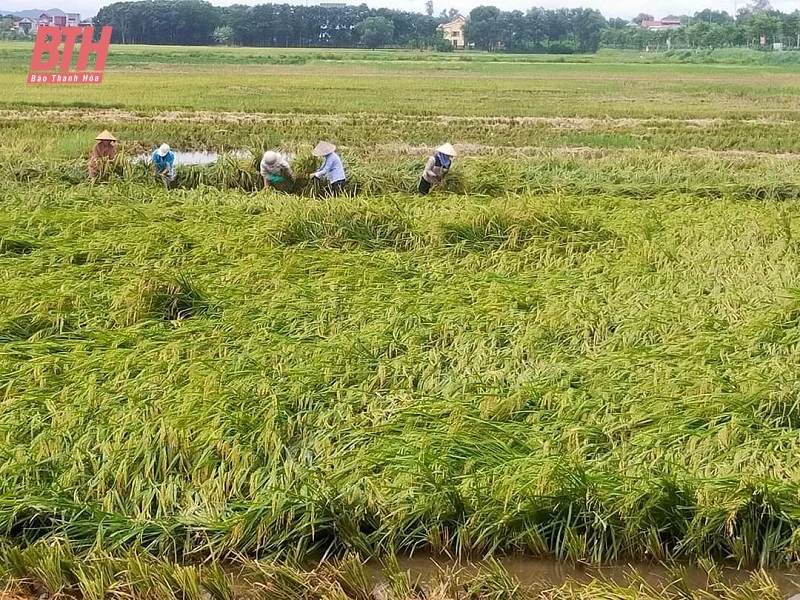 Phụ nữ Thanh Hóa: Nhiều hoạt động hướng về đồng bào vùng lũ