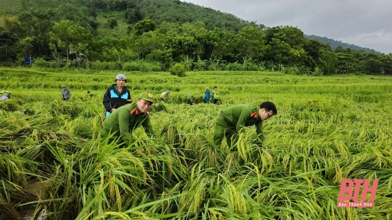 Công an huyện Thạch Thành nỗ lực giúp dân khắc phục hậu quả ngập lụt