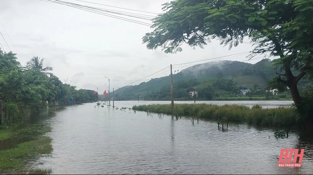 Phó Bí thư Tỉnh uỷ Trịnh Tuấn Sinh kiểm tra tình hình ngập lụt và chỉ đạo ứng phó, khắc phục hậu quả cơn bão số 3 tại huyện Thạch Thành