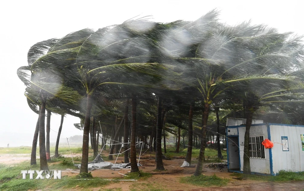 Yagi là siêu bão mùa Thu mạnh nhất trong 75 năm qua tại Trung Quốc