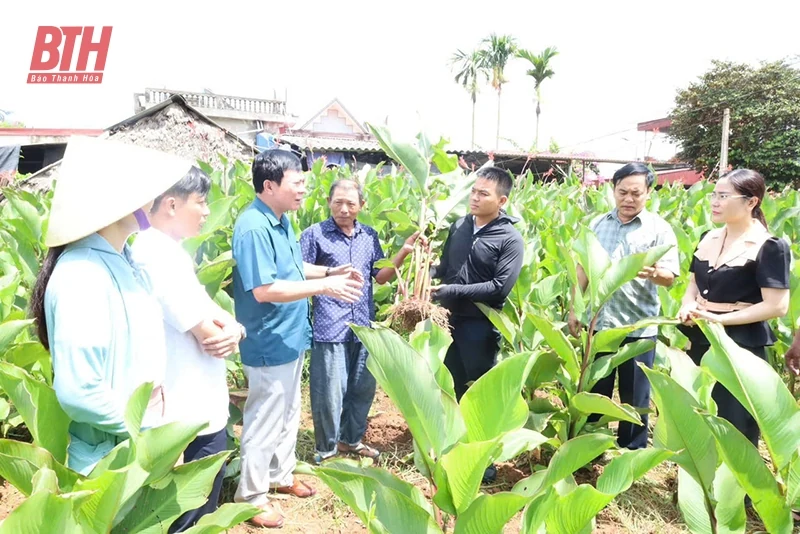 Hiệu quả nguồn vốn cho vay phát triển nông nghiệp, nông thôn