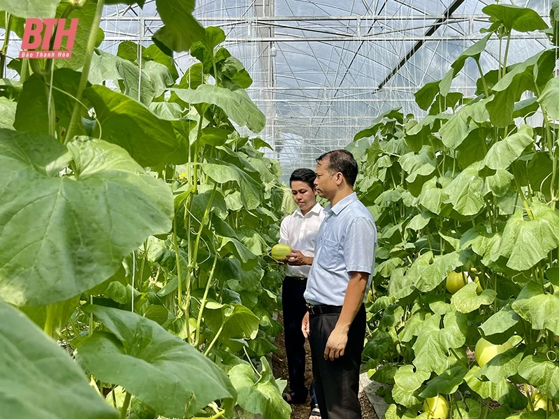 Nga Sơn phát huy quy chế dân chủ ở cơ sở, tạo sự đồng thuận trong Nhân dân