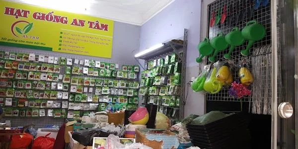 Shop bán hạt giống uy tín ở đâu? Cách chọn hạt giống tốt?