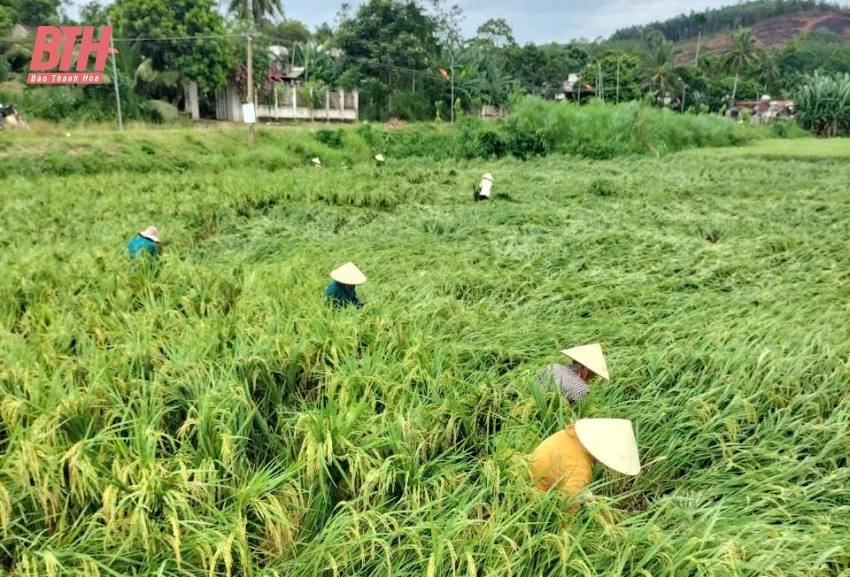Công an, bộ đội giúp đỡ người dân vũng lũ Thạch Thành dọn dẹp nhà cửa, ổn định cuộc sống