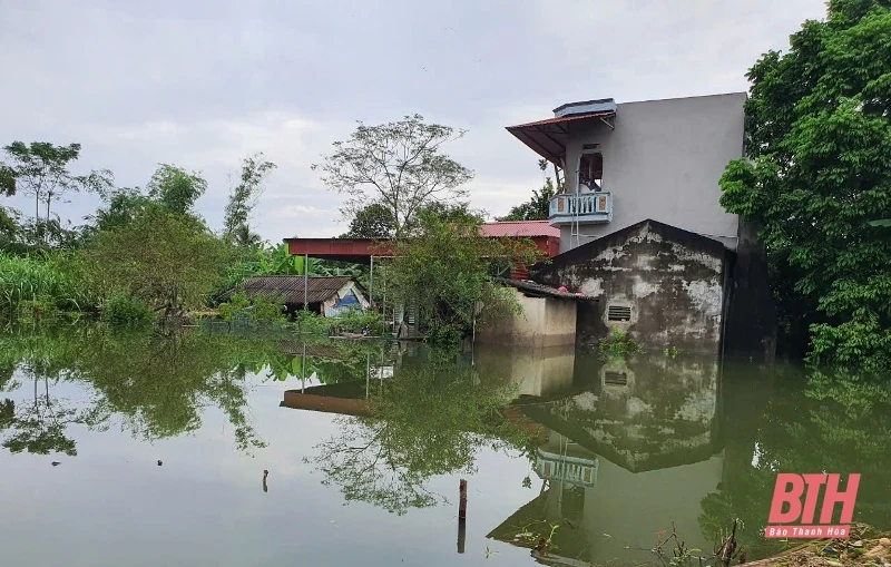 Lũ sông Bưởi trên báo động II, cả khu phố bị ngập lụt, chia cắt