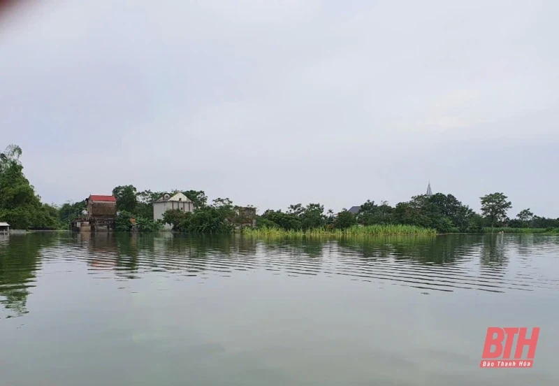 Lũ sông Bưởi trên báo động II, cả khu phố bị ngập lụt, chia cắt