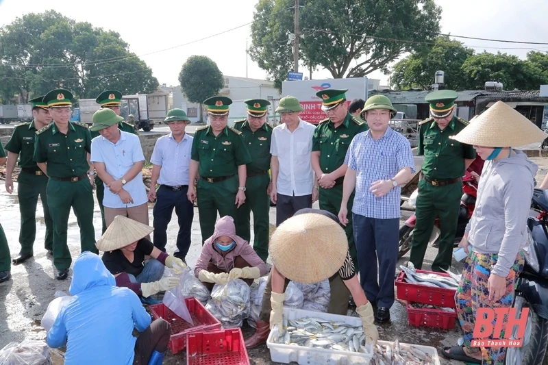 Kiểm tra công tác chống khai thác IUU tại Cảng cá Lạch Hới