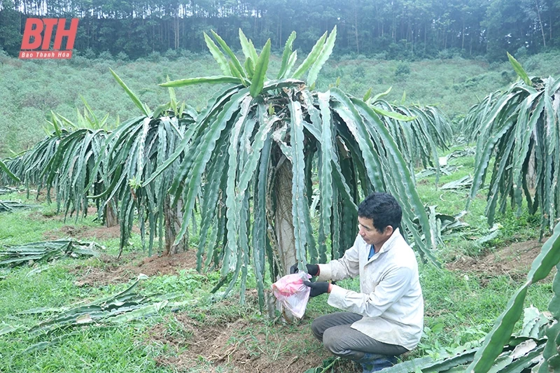Trải “thảm xanh” trên m88 link mới nhất