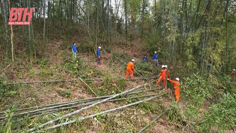 Điện lực Quan Sơn tăng cường bảo vệ an toàn hành lang lưới điện