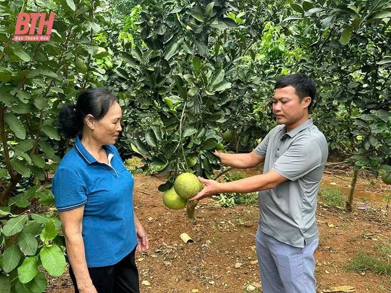 Trưởng thôn nhiệt huyết với công việc tập thể