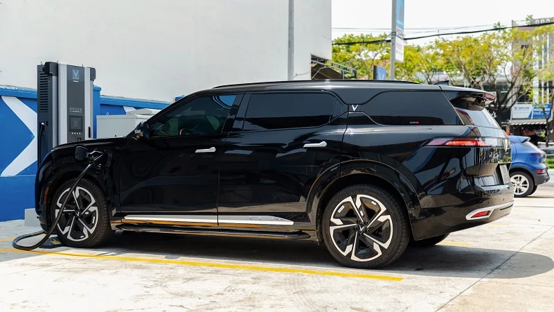 Trạm link vào m88 mới nhất sẽ phủ khắp mọi ngõ ngách nhờ lời giải phi thường của V-GREEN