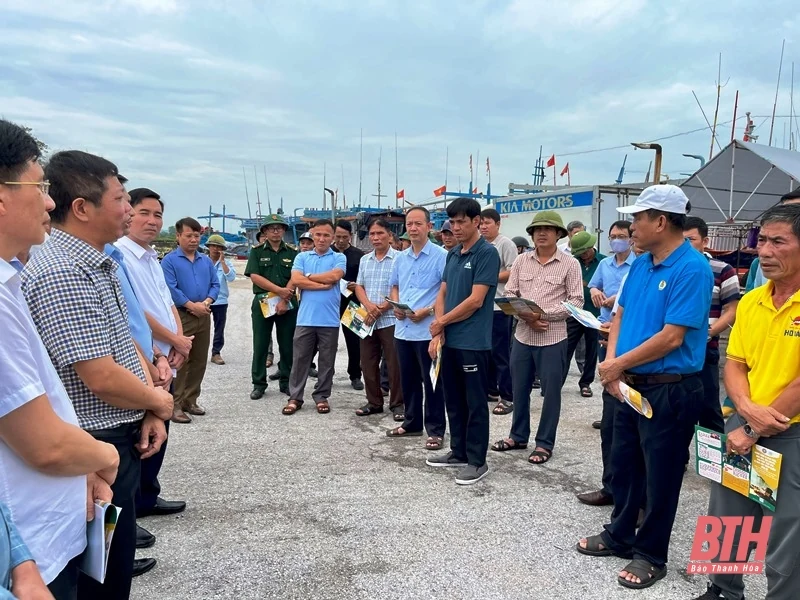 Tuyên truyền, vận động cao điểm về chống khai thác hải sản bất hợp pháp, không báo cáo và không theo quy định