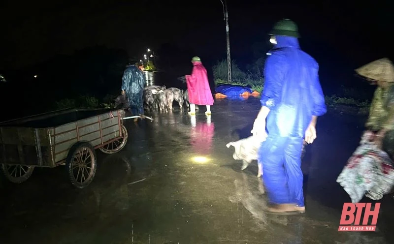 Hoằng Hoá: Tràn đê sông Mã, thêm 26 hộ dân phải di dời