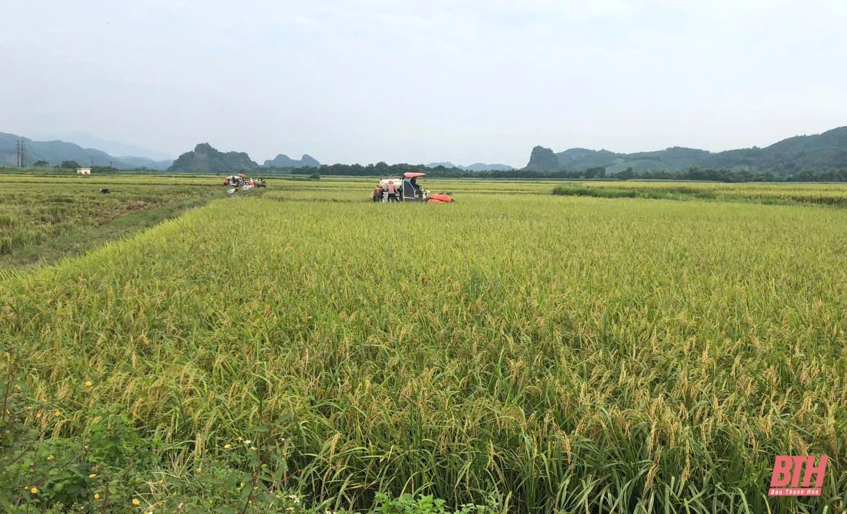 Thường Xuân tập trung khắc phục hậu quả mưa lũ