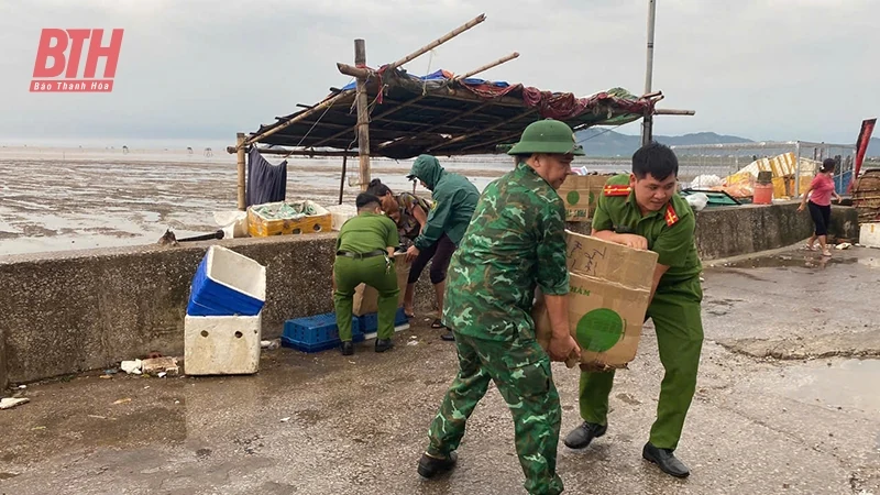 Chủ động, sẵn sàng ứng phó với m88 cá cược thể thao trực tuyến