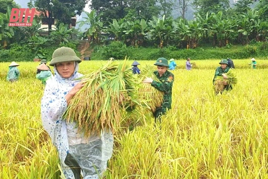Huyện Quan Sơn tập trung khắc phục thiệt hại sau mưa lũ